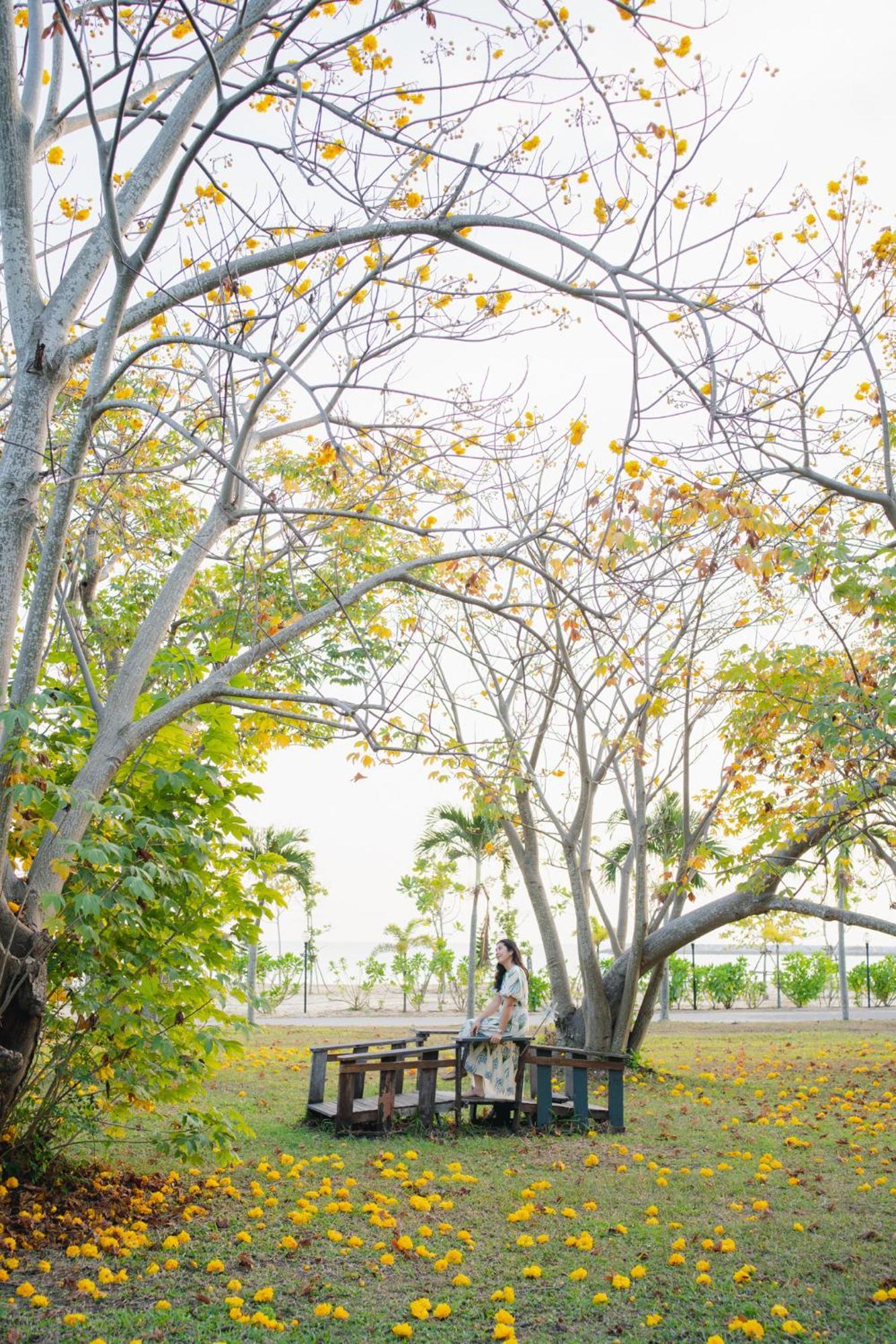 Bann Pae Cabana Hotel And Resort Klaeng Luaran gambar